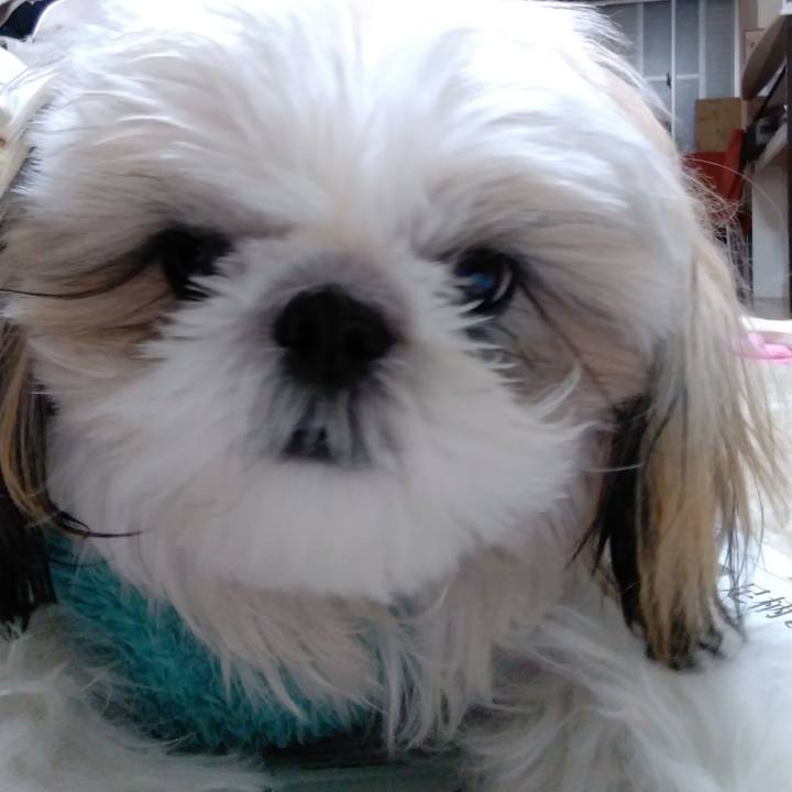 B864d453 49f8 4075 9833 fa843b617698 1548424041580