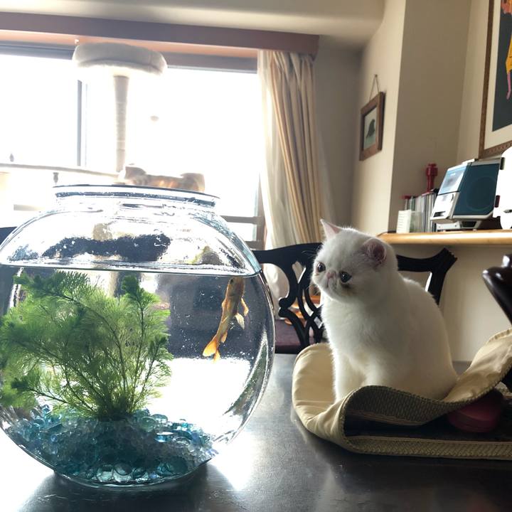 B864e4ad 4d58 4a20 8be7 895c0dc15c7f 1551322720500