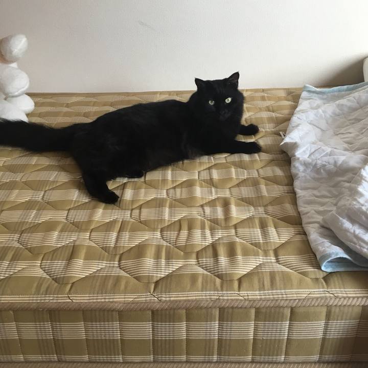 B864fad3 2779 4f9e b503 10aa45866182 1533302164818