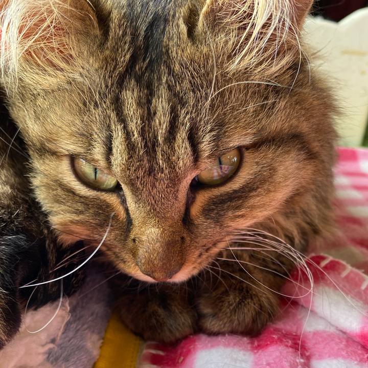 B8651629 c8f3 49b2 ab13 7adae0ad59f9 1680324179190