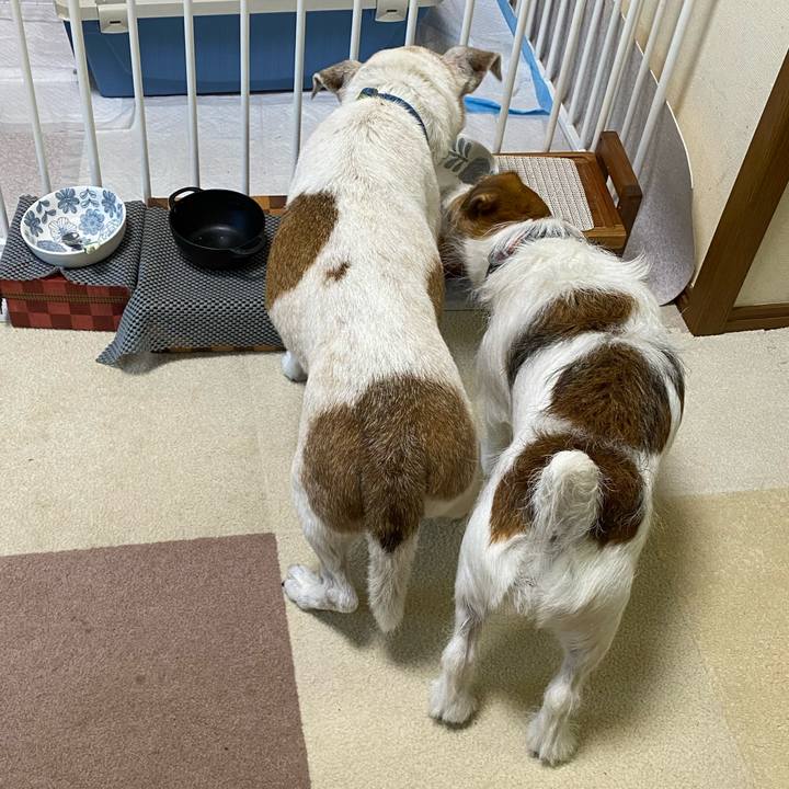 B8652815 e7ab 4980 bc2c dbedb099fa65 1722211481631