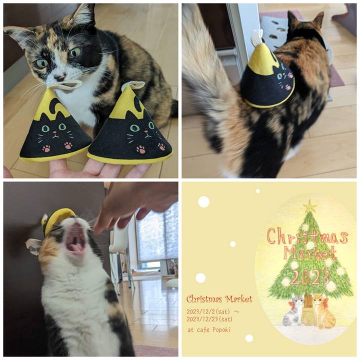 B8653183 94b6 46a6 a222 a171e18acd4b 1700537898983