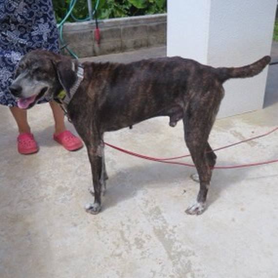 B86558e4 91fb 43e5 ae48 7726c4765ab3 1595080667341