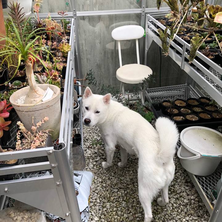 B8657f04 d737 47b6 bcf3 8ca973dc2de4 1552610417646