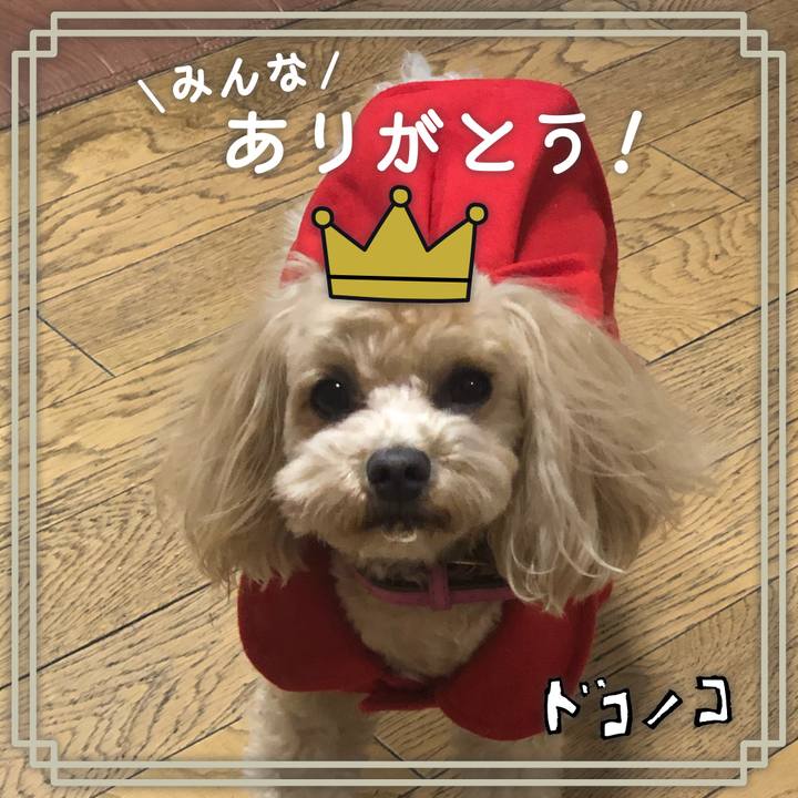 B865b8d1 fff2 4903 8e09 a52ed285c32a 1623062112922