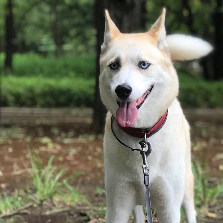 B865cbb5 7d6e 4298 aead fd47f1262722 1536097991521