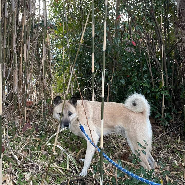 B865e0a5 fda2 4e4a 847c c41fcf6d6862 1644409387800