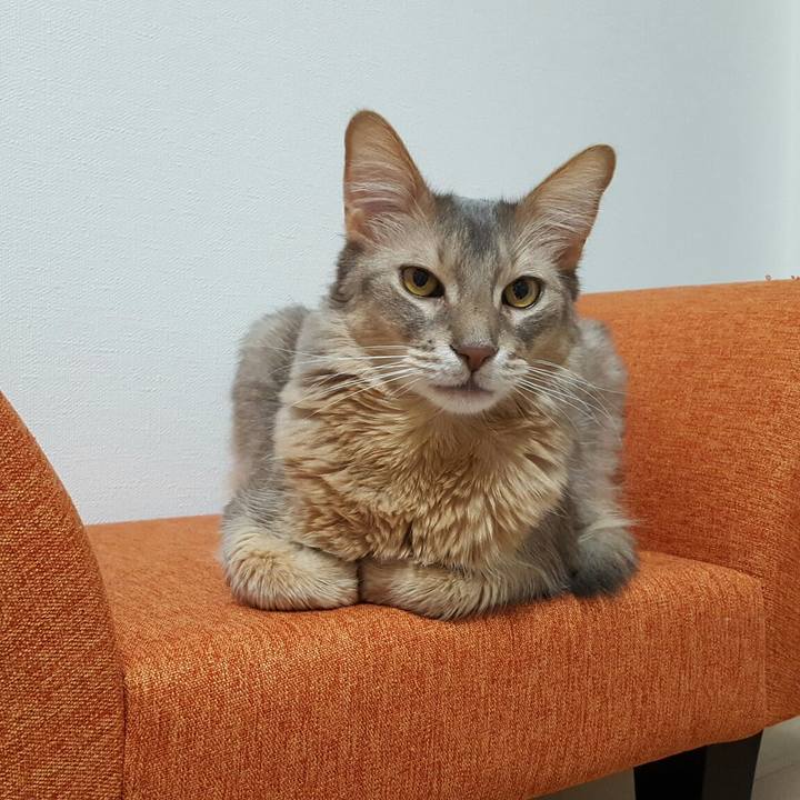 B865f804 d0c4 4f2f 87e6 761edc6de4c3 1551957624135