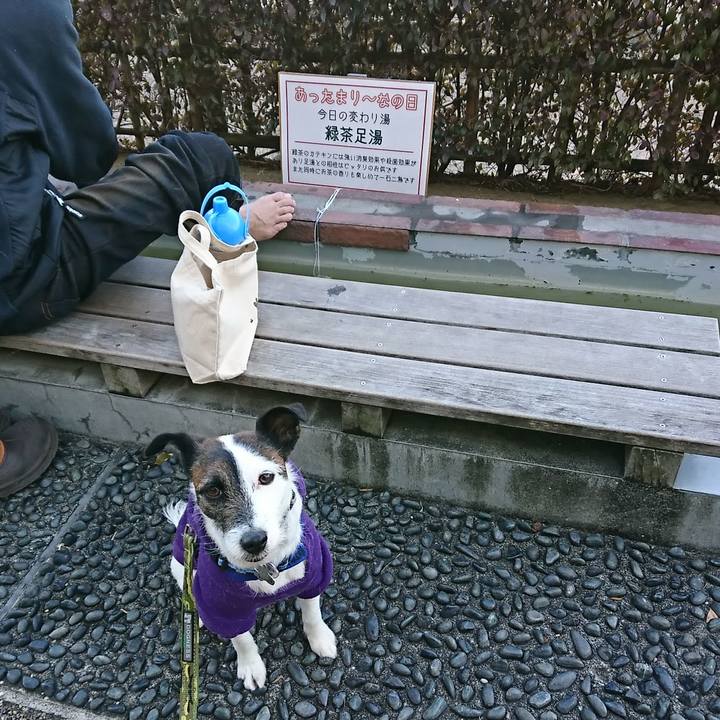 B8660417 2de2 45c5 b46a 5014e485a16d 1518937498144