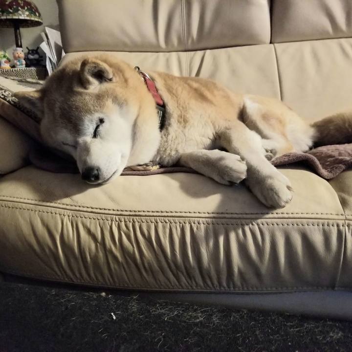 B8663b68 92d3 45a3 96ef c46cd7000d39 1744273677016