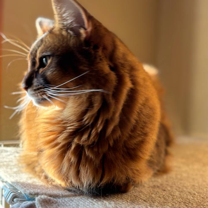 B8666138 ff55 48b7 b7cd 289cc1f04363 1762557579976