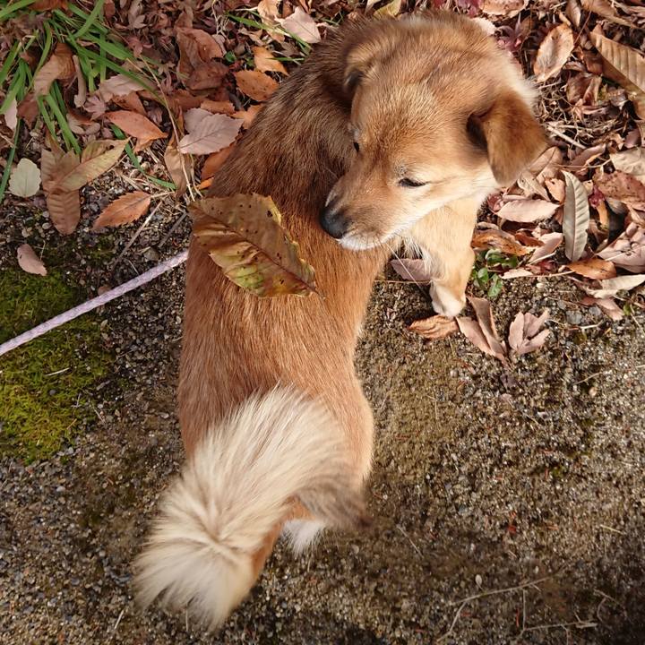 B866618b e141 45e7 b808 2bbe53da8cae 1576144485723