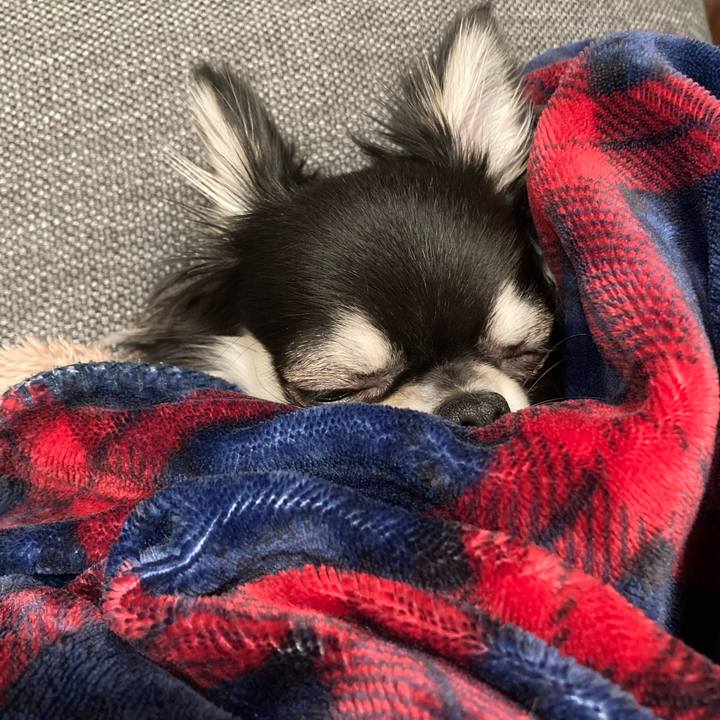 B8666944 6d59 42a3 87f4 18a29b8868d5 1611413804718