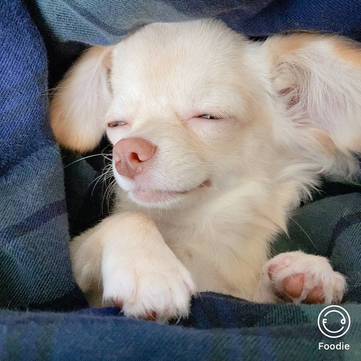 B8667d3e de39 4ebb a3ba b18e9cb7d844 1598411052882