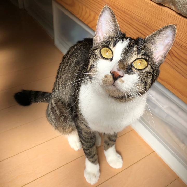 B866812a e356 4930 a311 99eceae820e5 1552020600697