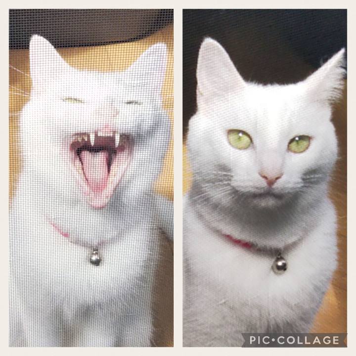 B866909e ff80 4129 bee4 516d9c3fb30c 1697218793953