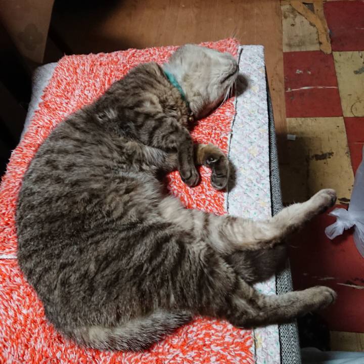 B8669ebf 1573 444e bcdc ffc8969de4f6 1565260013316