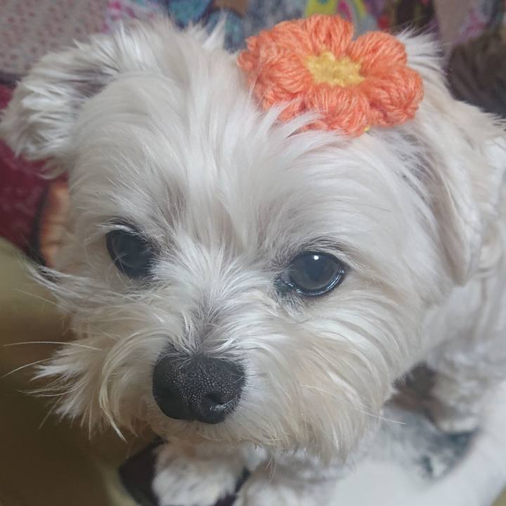 B866a3a5 2f56 4ac5 bbfd 8c219bd1ed21 1610620614027