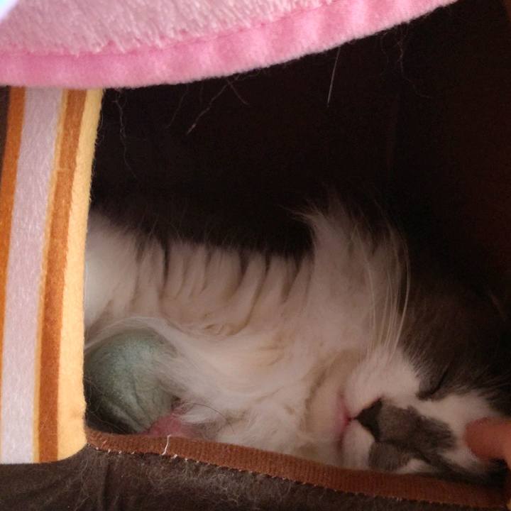 B866c152 ebcf 4cb9 bf11 2998dd7a8ae3 1616884661664