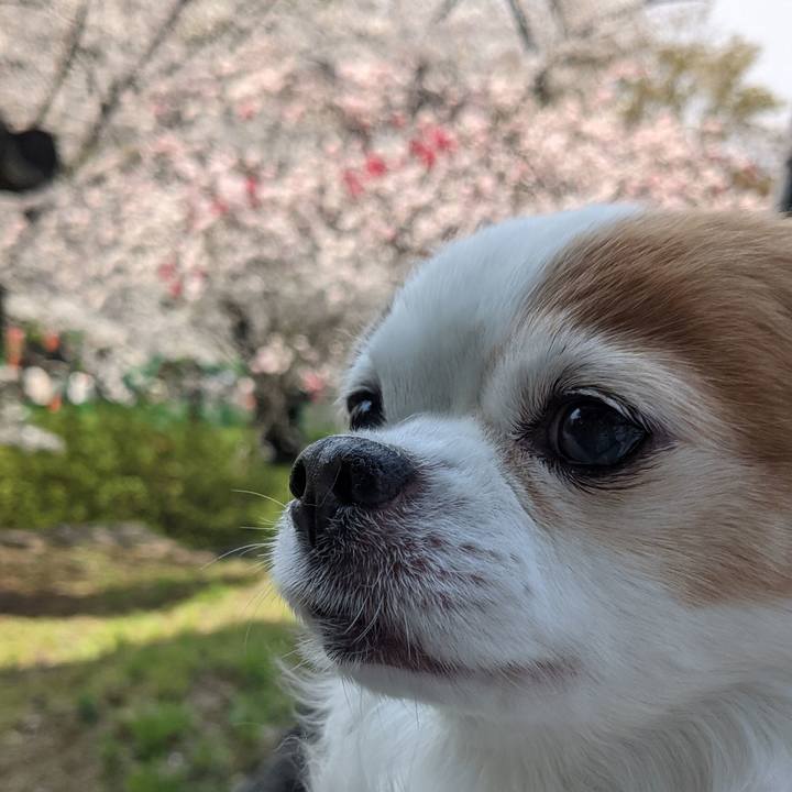 B86701be b039 4dee ab16 1461bd6ea706 1616818860351