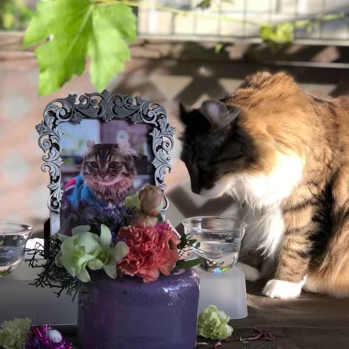 B8671793 b136 4060 9e2c 60c381a4e19b 1569416777702