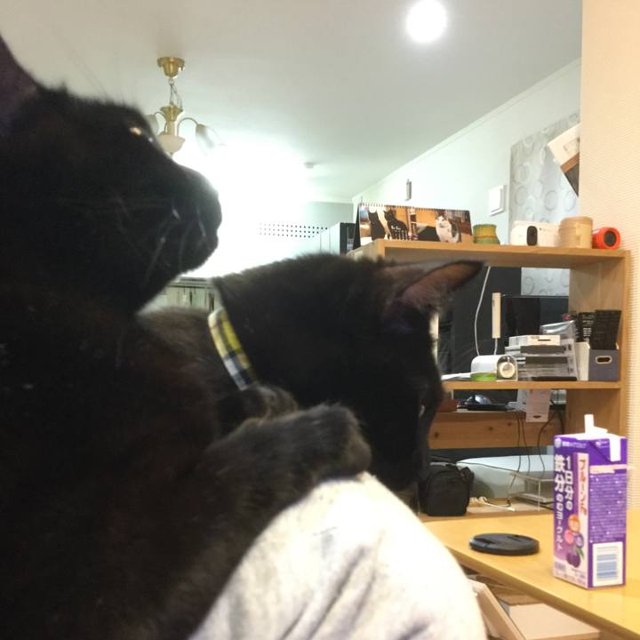 B8672d4a 864b 40ee a80f 9ba92d4a60a3 1546783912120