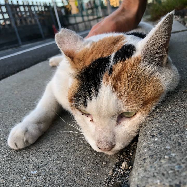 B8674acc 348b 41cd a3d7 f803d260c5f6 1538832999813