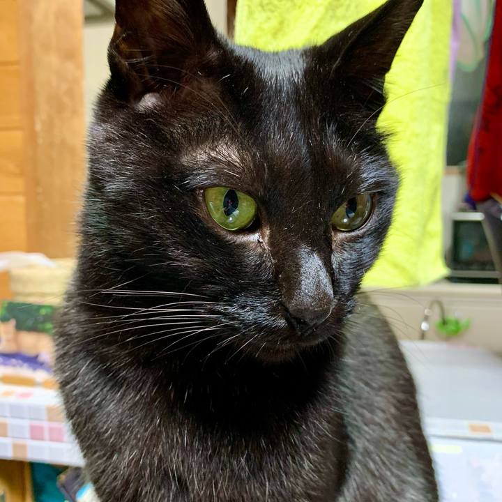 B8675be5 93bb 4182 99ca a08f54434489 1654950829305