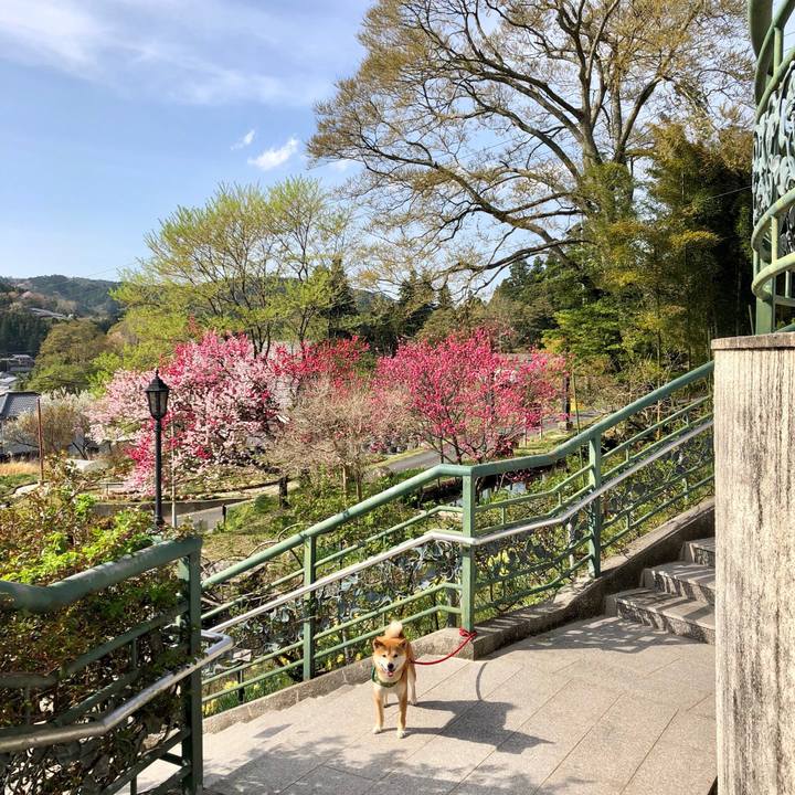 B8676904 e2f1 40c4 af73 013b79a7880f 1523524776863