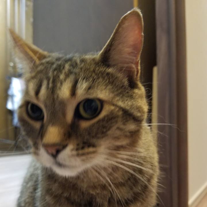 B8676ed1 8845 400f b5d9 9c01b8325ce1 1621643913321