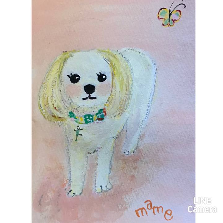 B867790b 23c9 4a8e 88ab 4dd4d4a8b70b 1627661579996