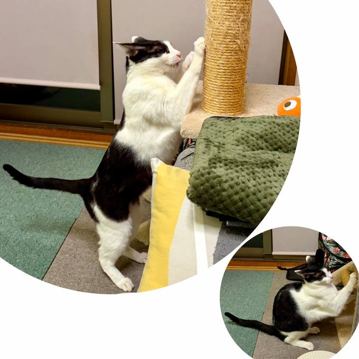 B867d900 d52c 4f2e bb46 7a3289c7f2b0 1768616150489