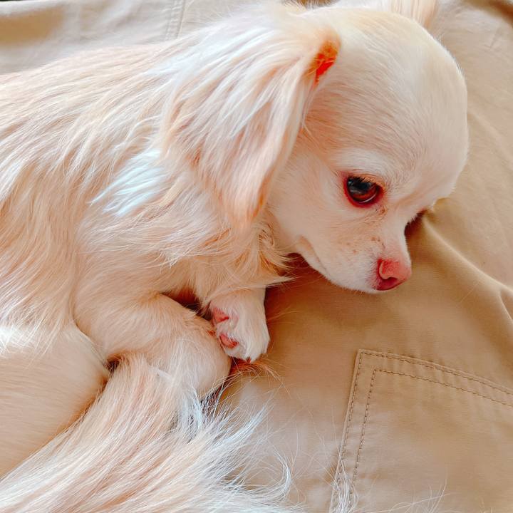 B867ecc7 d651 4f88 ae1e 7dfc41a091b4 1648181142182