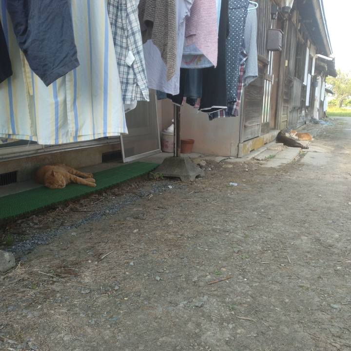 B867ff36 9aff 4e68 ae69 81a9c890dbf2 1750496449684