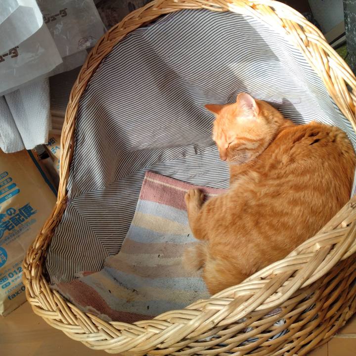 B86838b3 a016 479d b582 f4e40847b17e 1669357449936