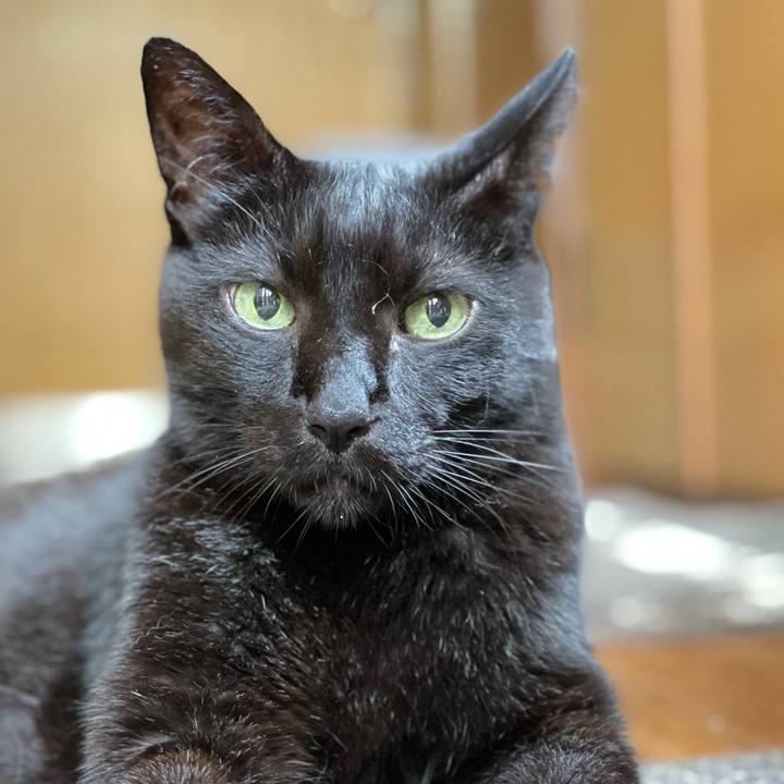 B8688af3 1a23 43ae a7a2 313607003fef 1629246508346