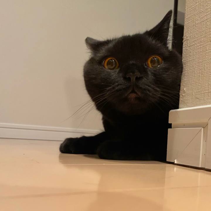 B8688dd4 f44c 4a57 8fa2 abc2c4c32004 1621681008331