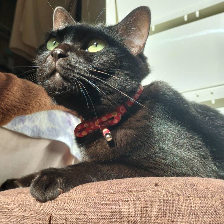 B86894ce 6ddf 44d3 be00 363b184284e2 1657664207769