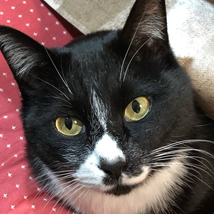 B868ba29 0fec 4c5c a075 1255fdfad270 1610162940384