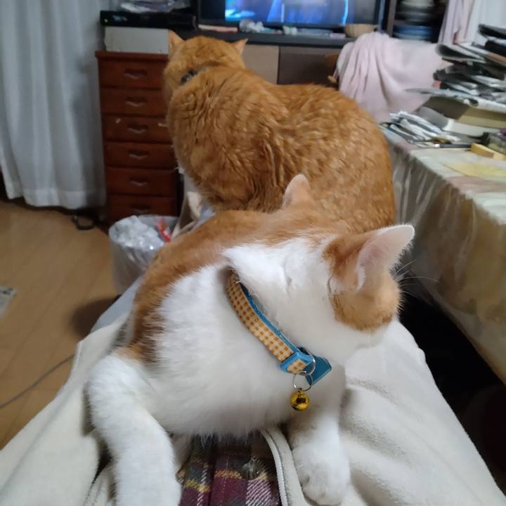 B868c022 d912 407e 903b ce76f829215a 1734244124761