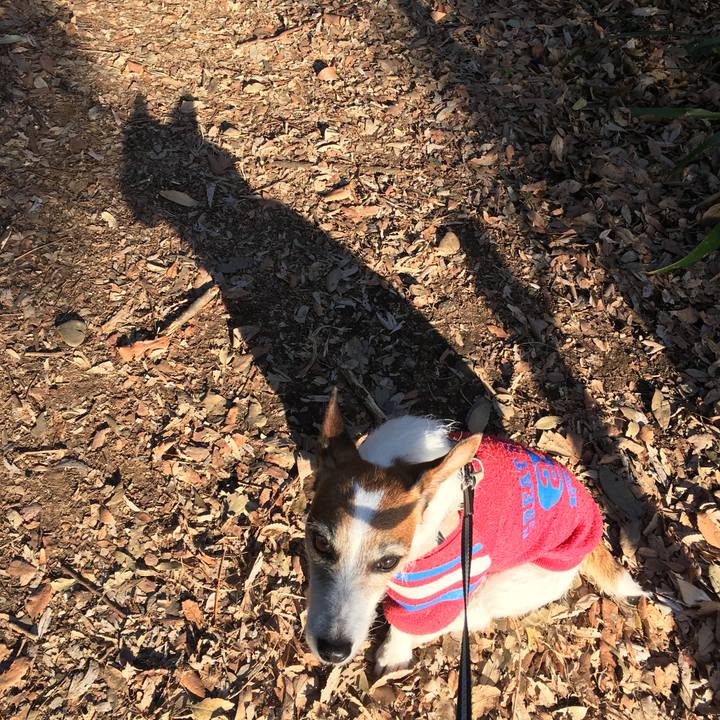 B8695227 3fcf 4974 8221 6e54d3eb3644 1553209662852