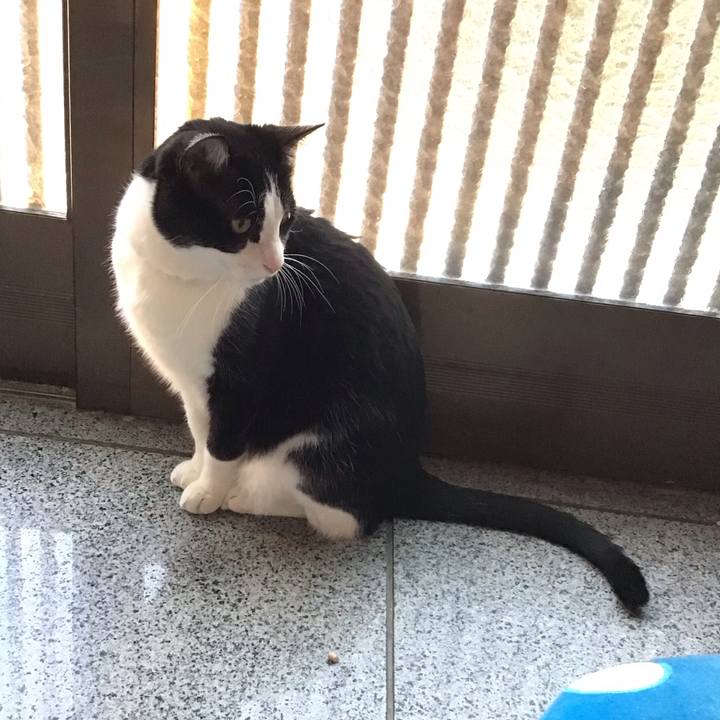 B86975e2 67d5 4090 81d7 40035b7b23b3 1677058213104