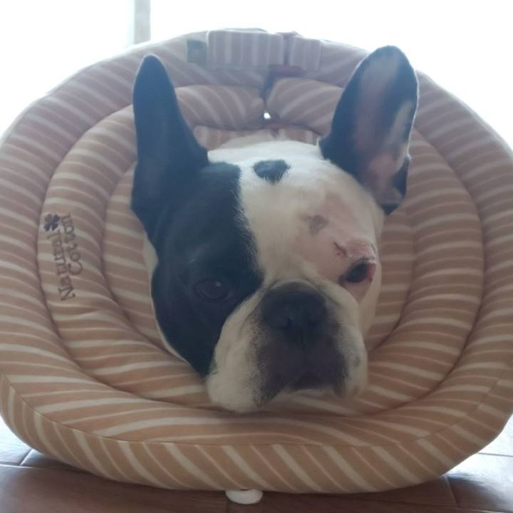 B8697d7f 293f 4e8e 84e6 915449e89ee4 1577795430111