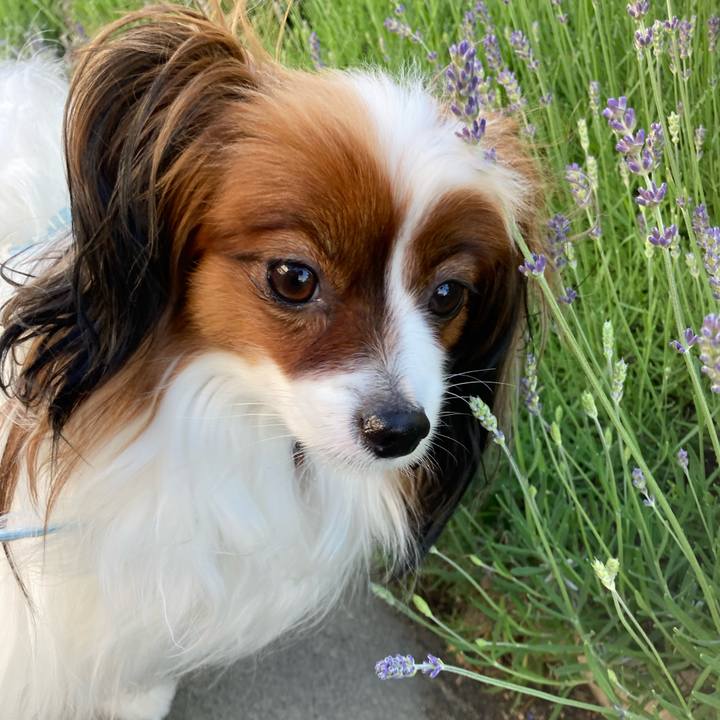 B8699481 6571 487f a1a1 84b991188ee6 1655713843559