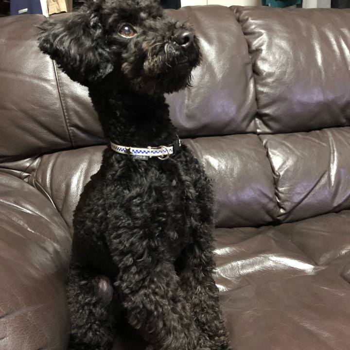 B869a5ba ea1e 44ac a696 90a6235e5f6b 1516365628072