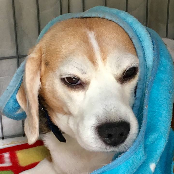 B869aac7 b883 4d6c bab6 07b954dd6cbf 1552276024688