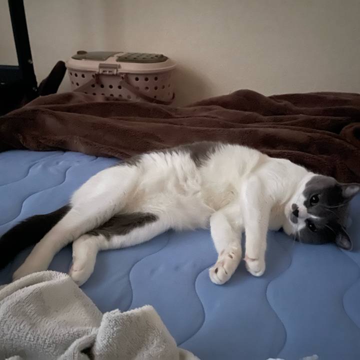 B869b894 7c6d 4974 a110 3062be125290 1659561296538