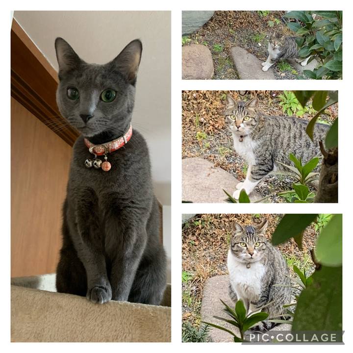 B869cfcf aef8 49ce b658 7507818f0850 1612587678094