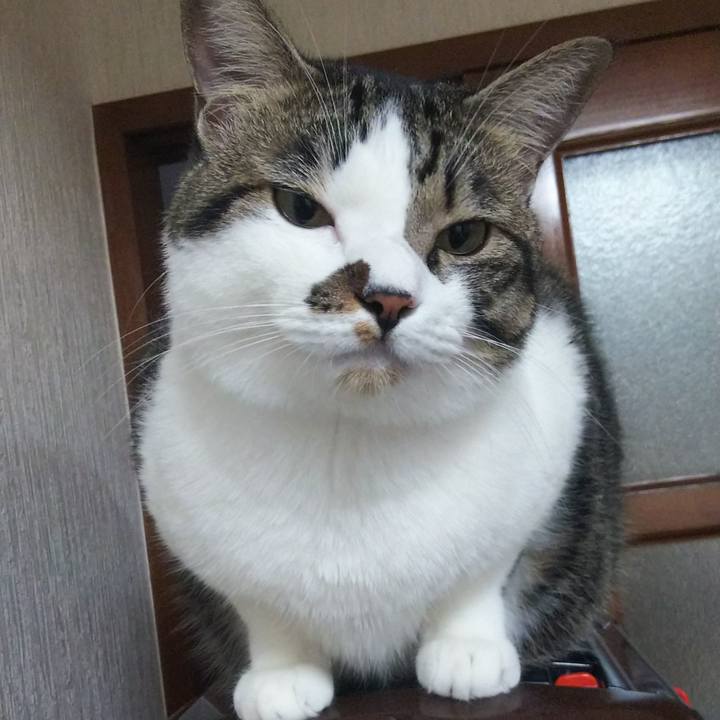 B86a244a 4bac 4d03 a769 30329aaac103 1663037075245