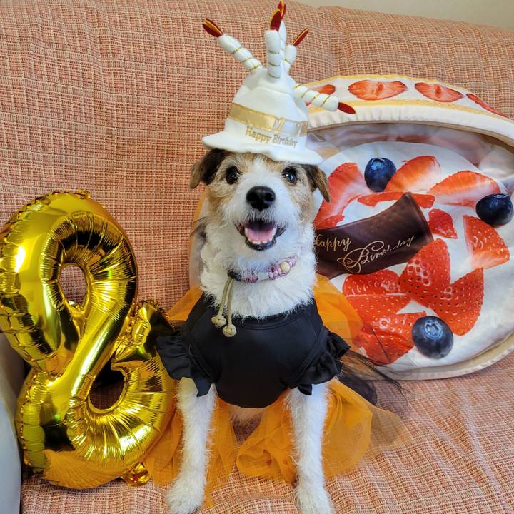 B86a253b 45f4 499e 8815 83ffea6948d7 1730124705965